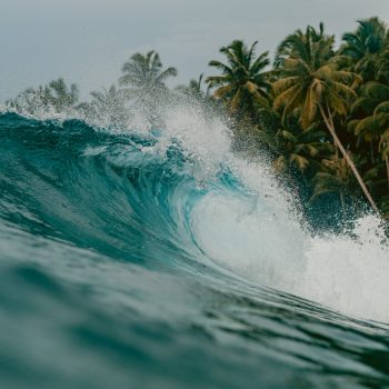 Surfe: Um Esporte Radical e Cheio de Desafios