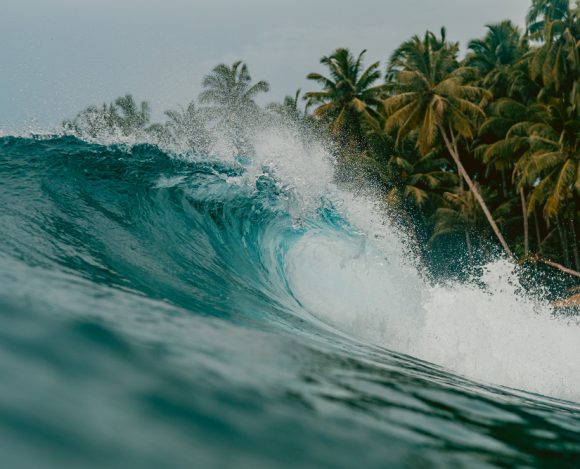 Surfe: Um Esporte Radical e Cheio de Desafios