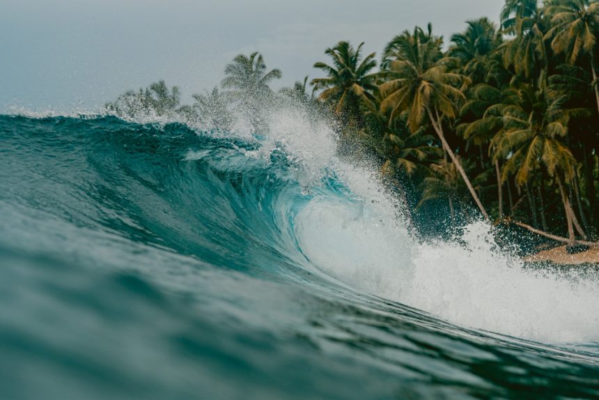 Surfe: Um Esporte Radical e Cheio de Desafios